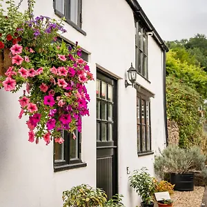 https://woodview-cosy-1840s-cottage-in-chew-valley-and-mendip-aonb.cardiffhotelswales.com